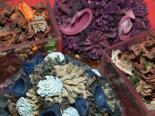 Plantas secas