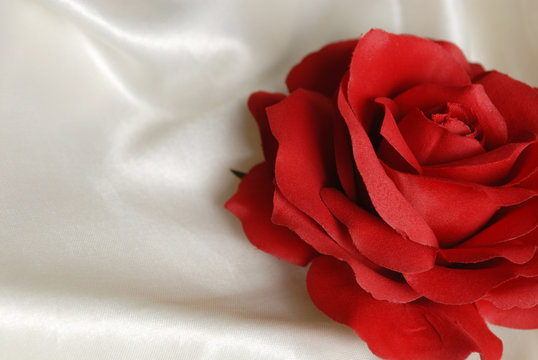 A closeup of a red rose on white satin