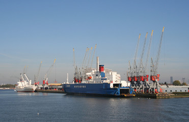 Fototapeta premium Ships and cranes in Rotterdam harbor