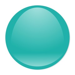 turquoise aqua button 
