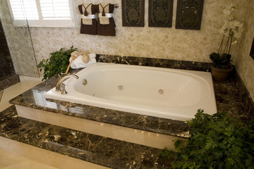 Luxurious bathtub with plants and other decor.