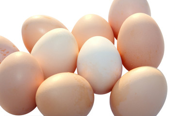 Meat and eggs 