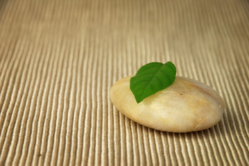 A relaxing image with a fresh leaf balanced on a stone.