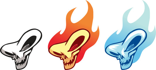 Skulls in Fire and Ice © VectorZilla.com
