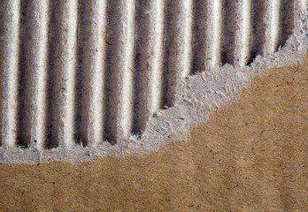 Close-up of a torn cardboard sheet