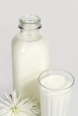 fresh milk