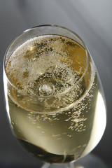 champagne on flute glass, close up