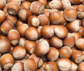 close-up view of hazelnuts