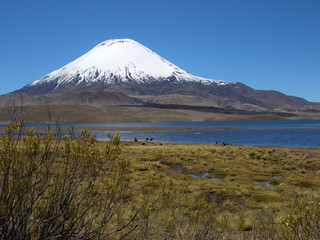 Fototapeta na wymiar Vulkan Parinacota Chungara am See, Altiplano, Chile