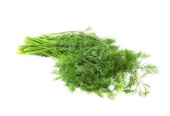 Fennel. Isolation on white