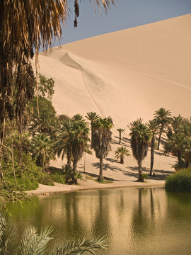 Desert of Ica, Peru