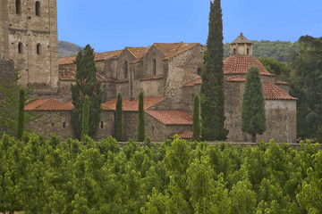 Fototapeta na wymiar roussillon :abbaye saint michel de cuxa