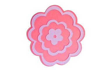 Pink and Purple Flower