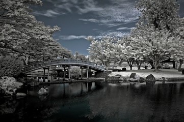 infrared photo - lake, tree and bridge in the parks