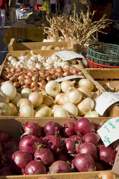 Condiments at the market