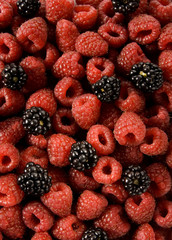 red raspberries and blackberries texture