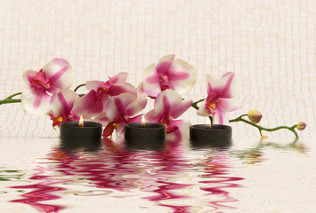 Aromatherapy candles and pink orchid
