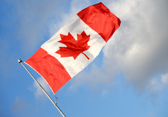 Canadian Flag Series