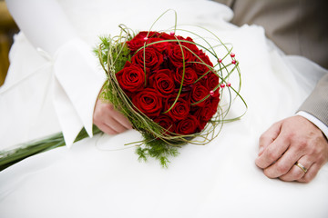 red roses