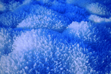 rime forest