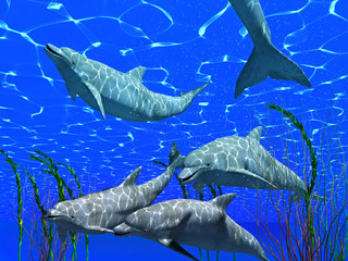 Naklejka premium dolphins under water image with sunlight effect (3D render)