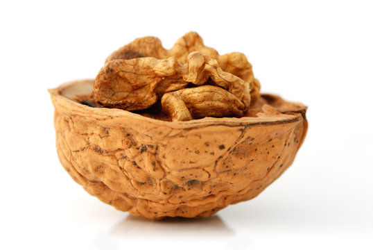 Open Walnut side view