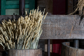 corn at the mill