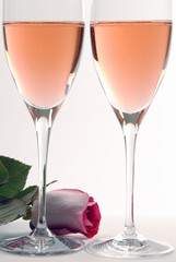 Pink Champagne and Rose