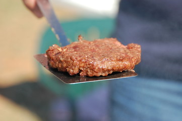 Burger, Custom Made!