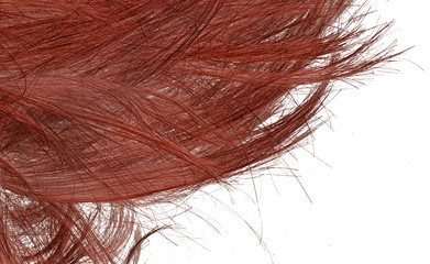 cheveux roux