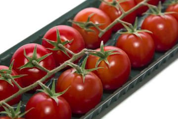 Tomato