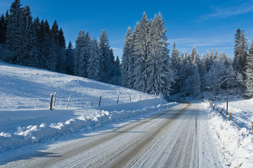 route enneigée vers la forêt