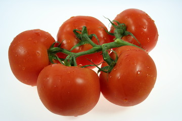 Tomaten