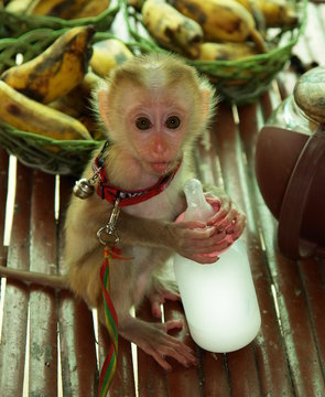 bebe singe avec son biberon