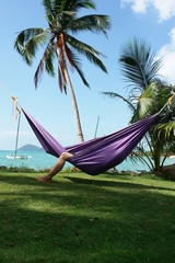 sieste tropicale sous les cocotiers