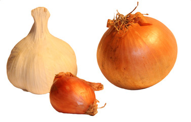 ail &eacute;chalotte oignon