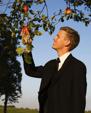 Young owner of an apple orchad tesing his red-golden apples.