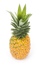 Fototapeta premium Pineapple