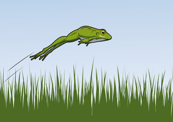 Springfrosch