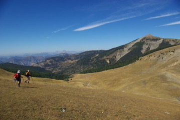 Fototapeta premium rando