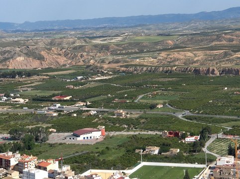 campode mula