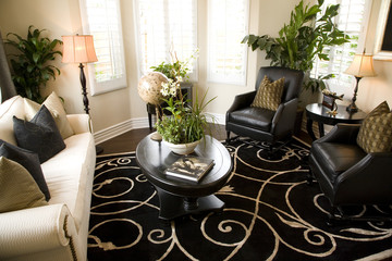Living room with modern decor.