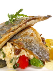 gebratenes dorade auf risotto