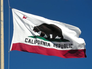 The great bear on the California flag.