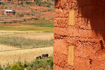 maison sur fond riziere et campagne malgache