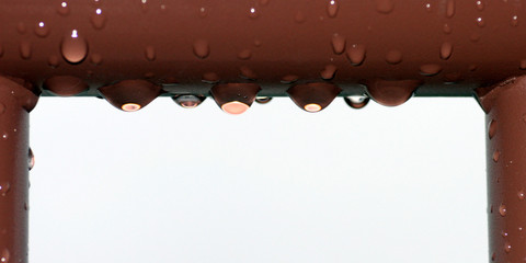 Water Drops