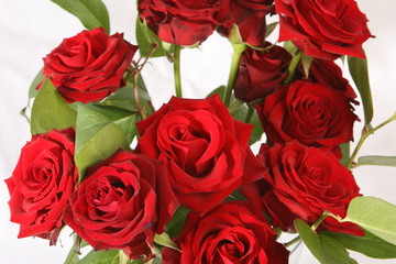 red roses