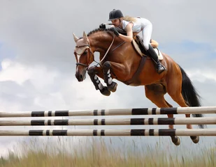 Gordijnen show jumping - stylized by oil painting © Kseniya Abramova