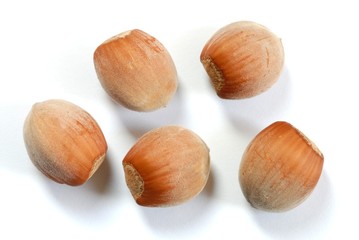 Hazel Nuts