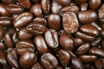 coffee beans.